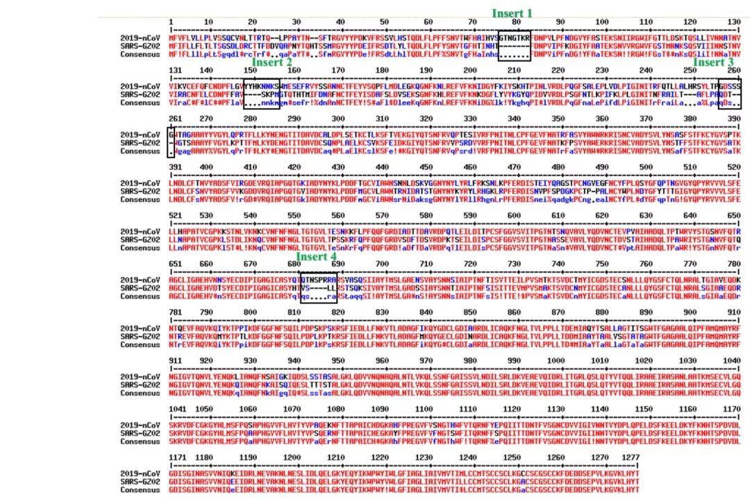 新型冠状病毒属于基因武器吗,新型冠状病毒变异毒株致命吗