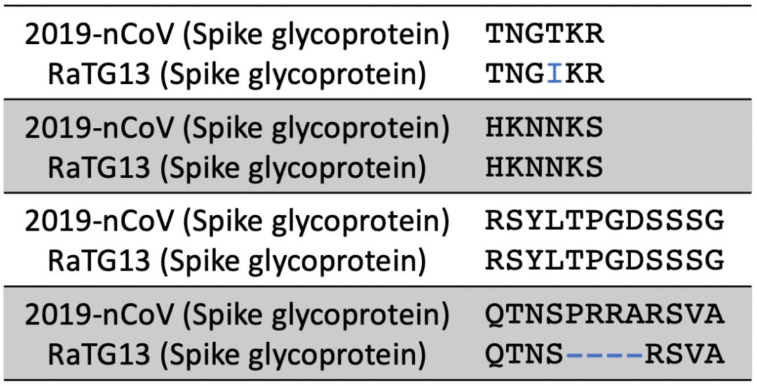新型冠状病毒属于基因武器吗,新型冠状病毒变异毒株致命吗