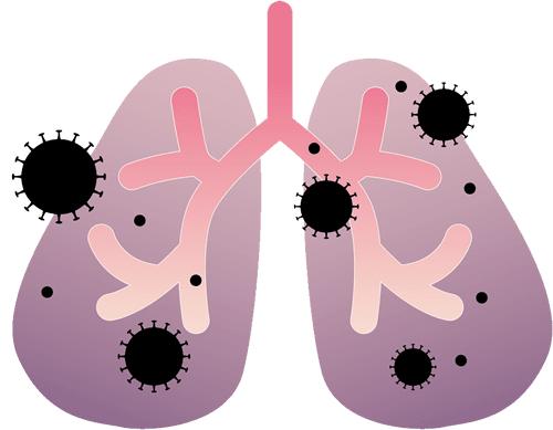 散布丹东疫情谣言4人被拘,沈阳疫情造谣被抓事件