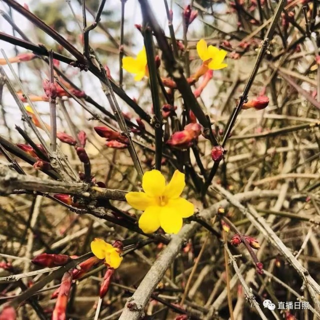 浠婃棩绔嬫槬鍐皢灏芥槬鍙湡涓囩墿澶嶈嫃,浠婃棩绔嬫槬鍐皢灏芥槬鍙湡