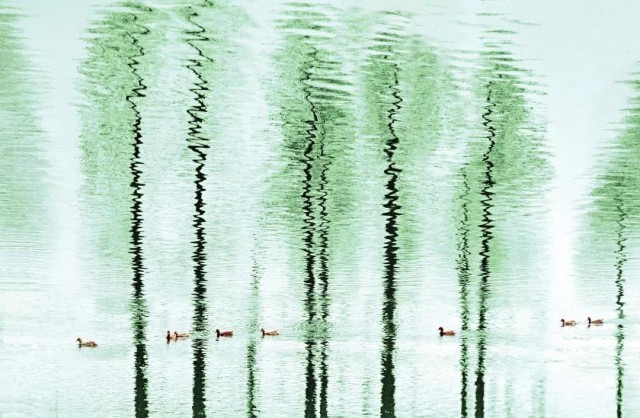 浠婃棩绔嬫槬鍐皢灏芥槬鍙湡涓囩墿澶嶈嫃,浠婃棩绔嬫槬鍐皢灏芥槬鍙湡