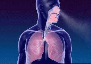 喉咙干痒咳嗽吃梨有效果吗,咳嗽有痰喉咙痒最快的方法润肺