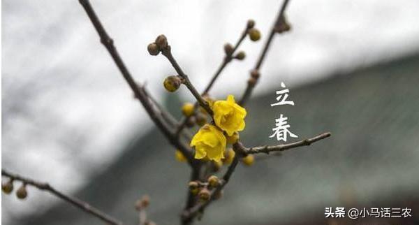 今日立春!2020年立春是几点几分具体时间立春习俗节气盘点