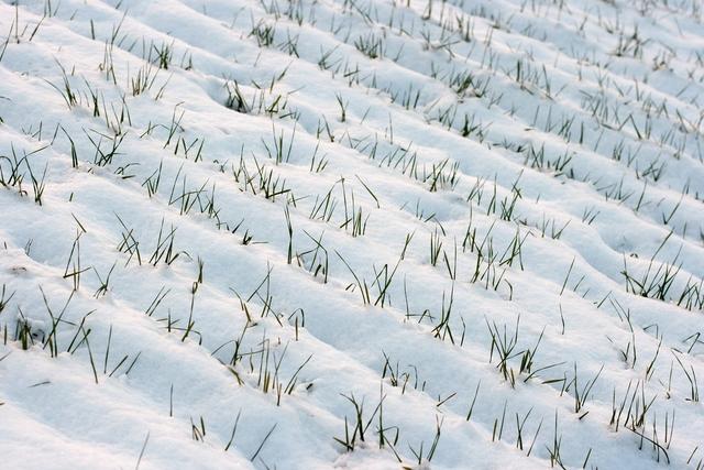 今日立春!2020年立春是几点几分具体时间立春习俗节气盘点