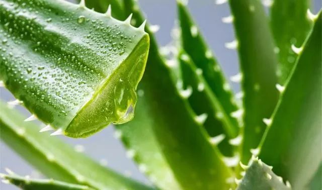 免洗手凝胶小孩子可以用吗,免水洗手消毒凝胶儿童