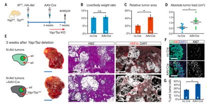 nature子刊《scientificdata》,nature子刊sci