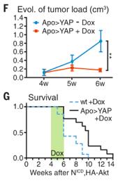 nature子刊《scientificdata》,nature子刊sci