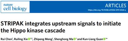 nature子刊《scientificdata》,nature子刊sci