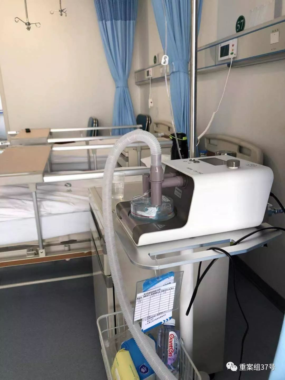 同济医生陆俊,陆俊同济医院