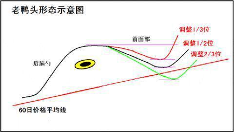清华女博士爆看阴线买入,清华女博士说股票