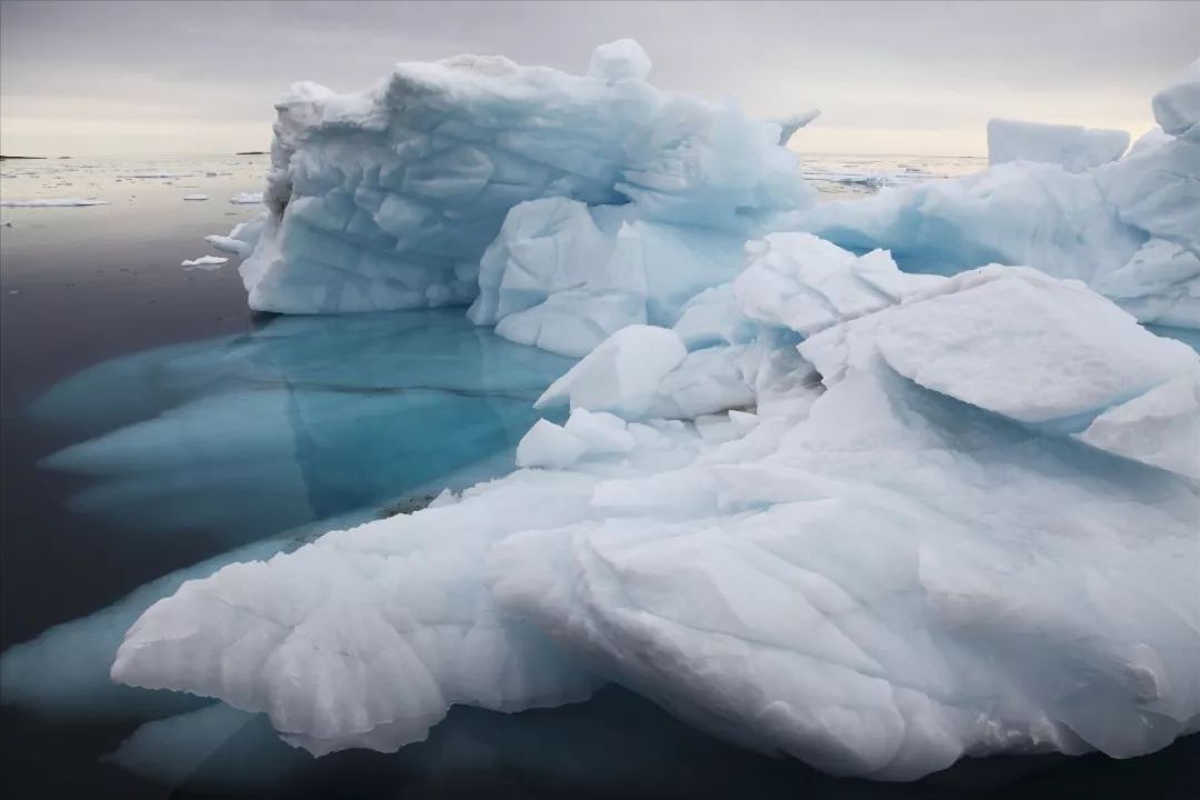 北极和南极相比哪个冷,北极和南极相比有什么特点