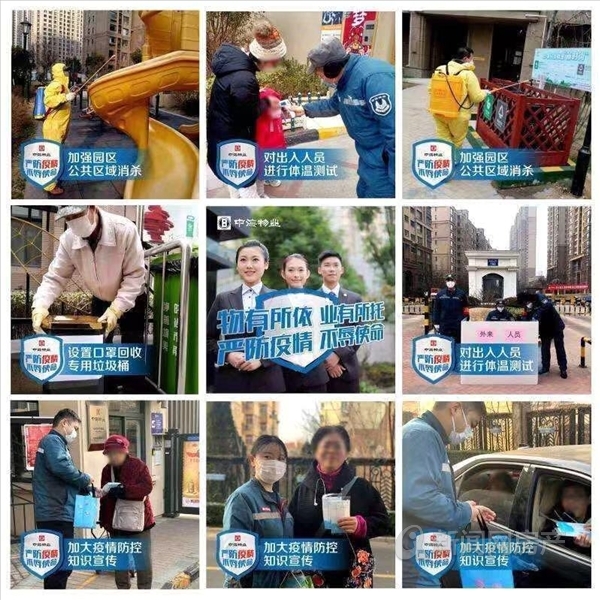 感谢物业送来的蔬菜,感谢物业送菜