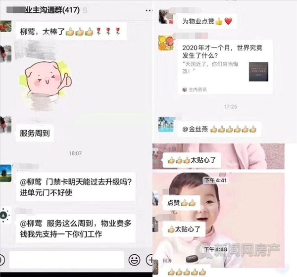 感谢物业送来的蔬菜,感谢物业送菜