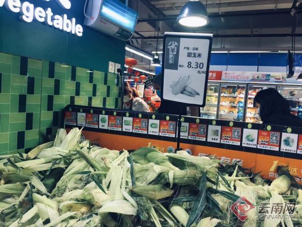 昆明同城新鲜蔬菜配送平台,同城蔬菜送货上门现在就送