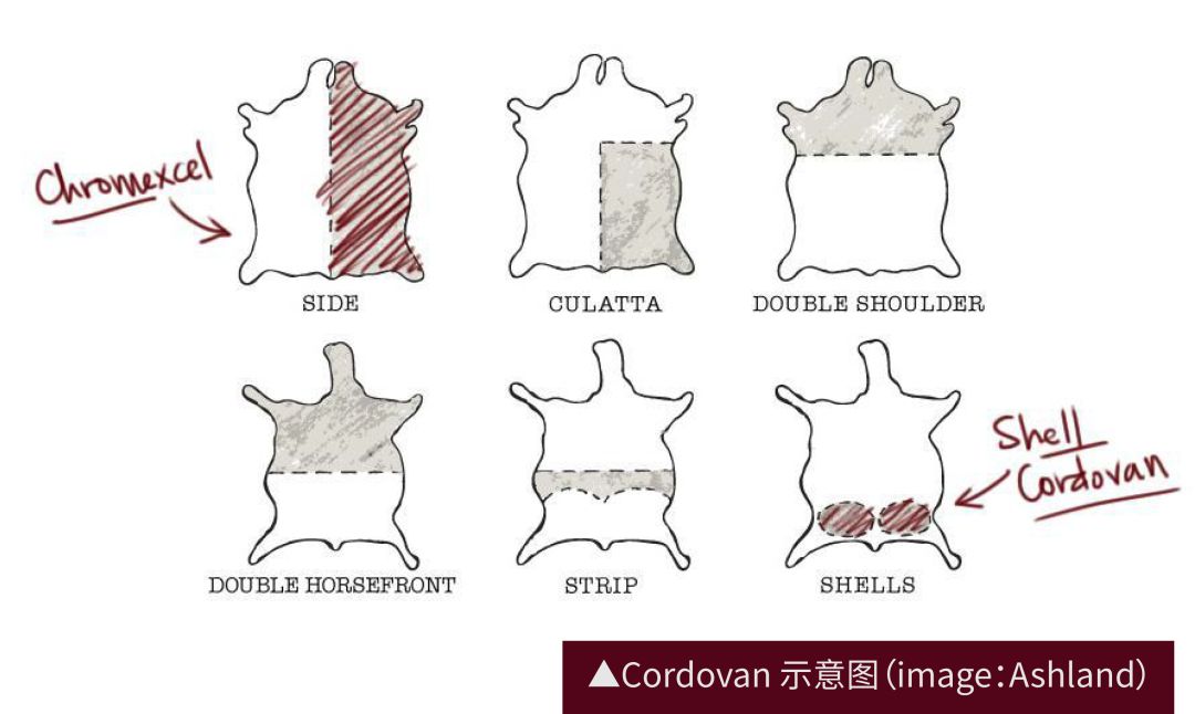 我希望大家对马臀皮的印象不要停留在“它很贵”上