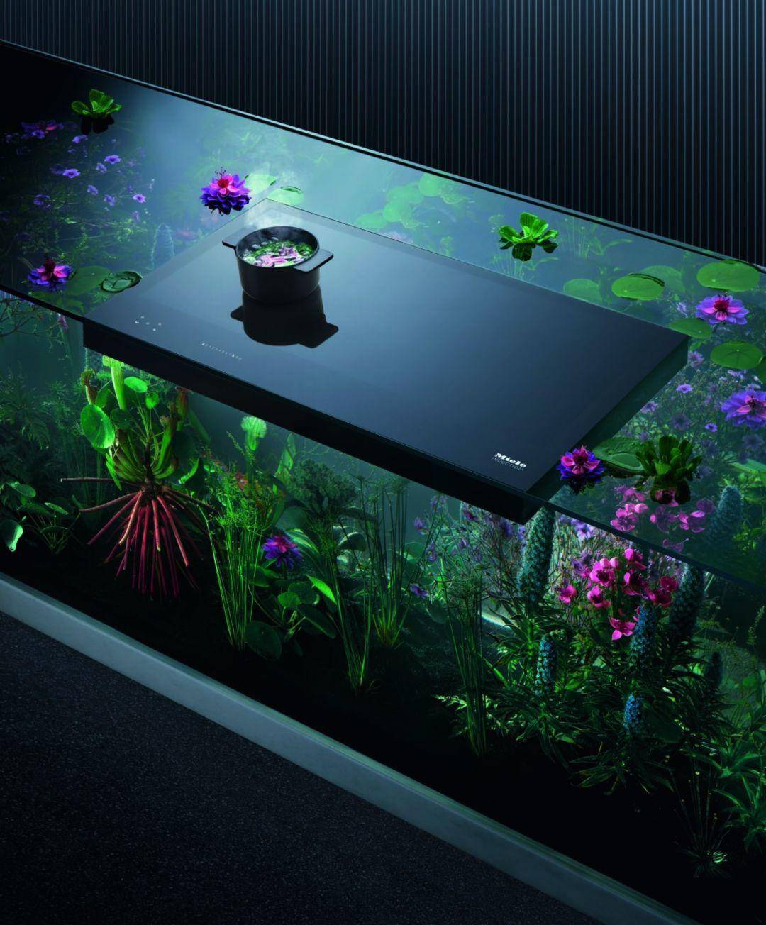 国际顶级奖项最佳设计奖,国际设计大奖作品欣赏