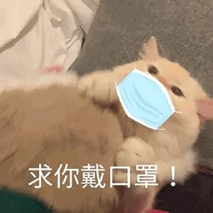 口罩陆续上架,广州疫情口罩最新消息