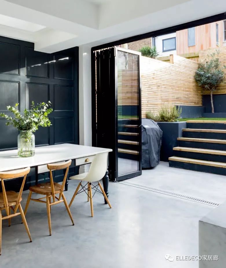 有什么好看的网红植物推荐,这三种网红植物家中必备你养了吗