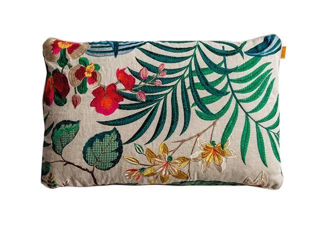 有什么好看的网红植物推荐,这三种网红植物家中必备你养了吗