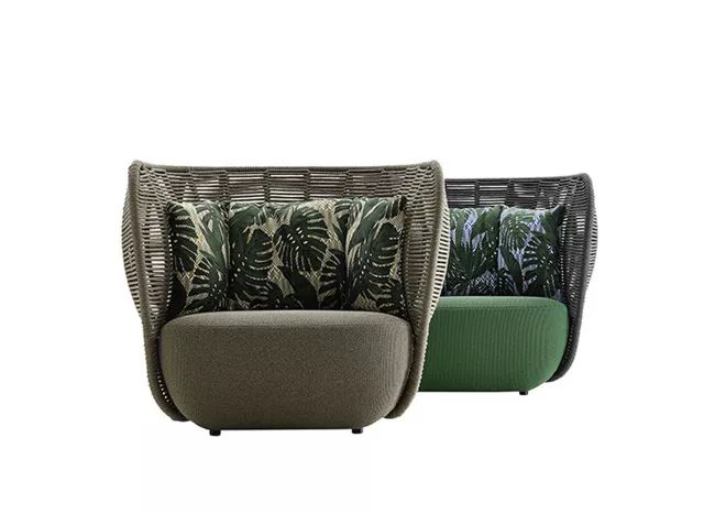 有什么好看的网红植物推荐,这三种网红植物家中必备你养了吗