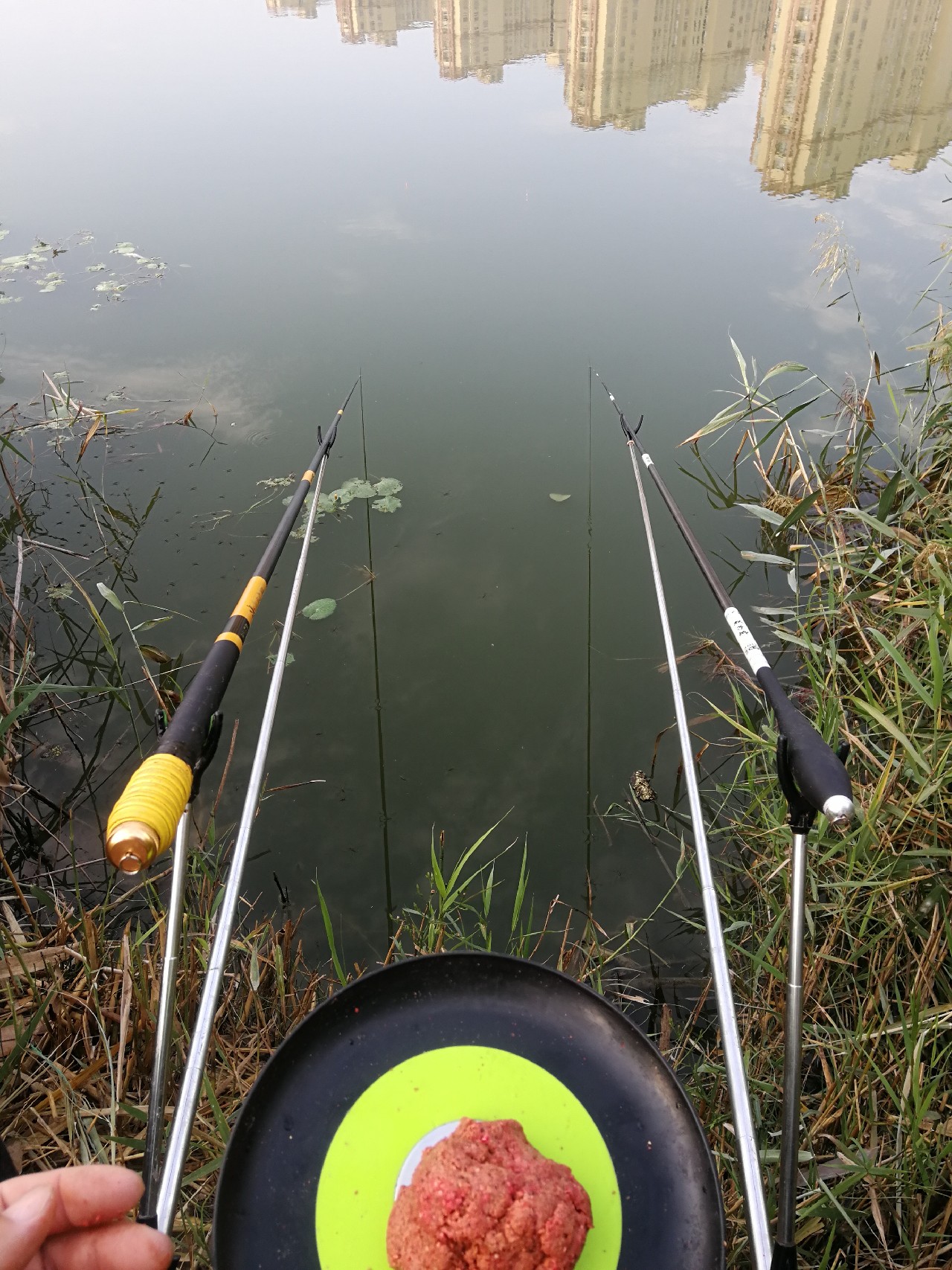 冬季钓鱼窝料配方最新秘方,野钓窝料秘方大揭秘大板鲫的克星