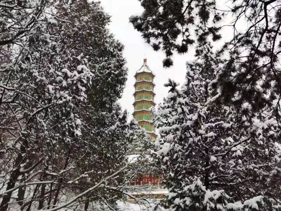 疫情期间经典日记,老俞生活日记