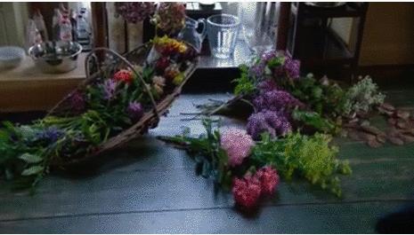 知道你们无聊,于是请来这些时装大师,陪你们一起宅在家中