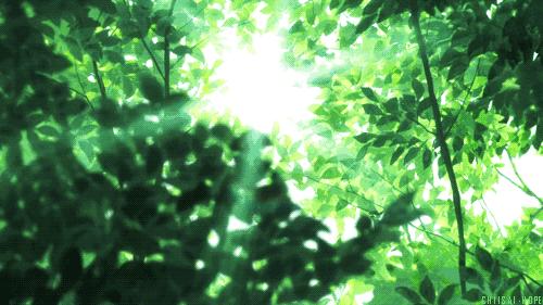 滁州市将迎大范围降雨降温天气,滁州雨雪低温天气再次来袭