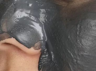 洗劫了编辑部后才发现，她们的面膜都这么好用