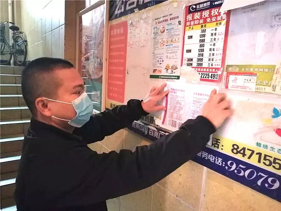 党徽闪耀志愿服务活动 (社区党员志愿服务队服务内容)