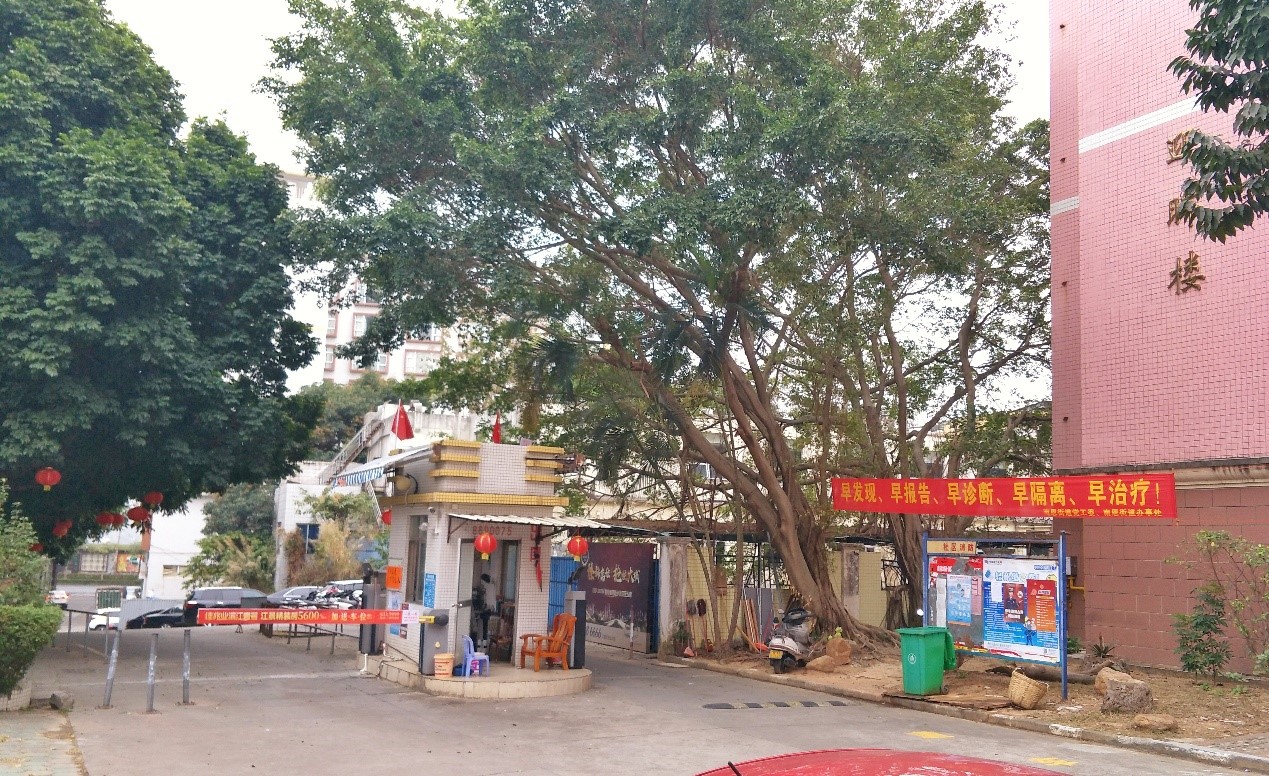 粤西小城*江阳**市的抗疫生活没有一个春天不会到来