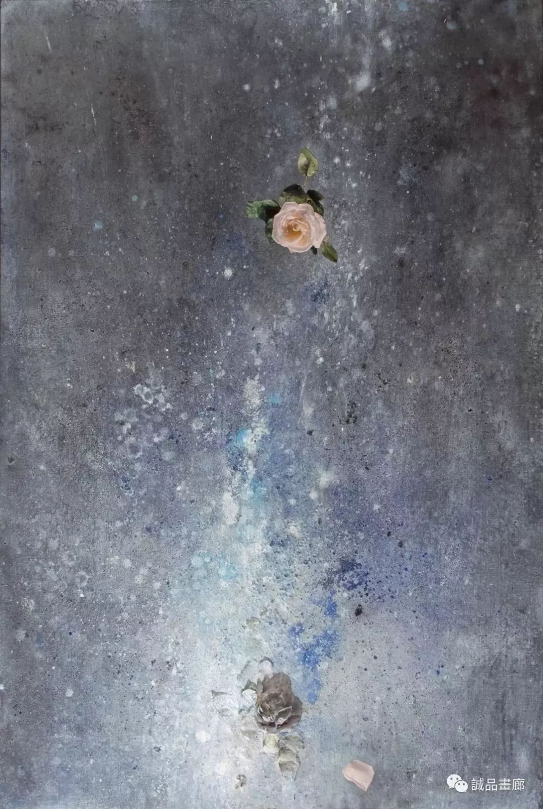 雅昌月度画廊影响力排名,雅昌艺术2022拍卖排行榜