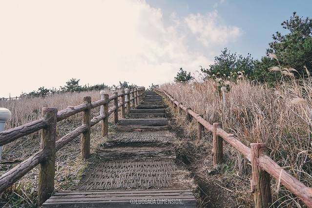 济州岛旅行遇到下雨,日记三年级海边游玩