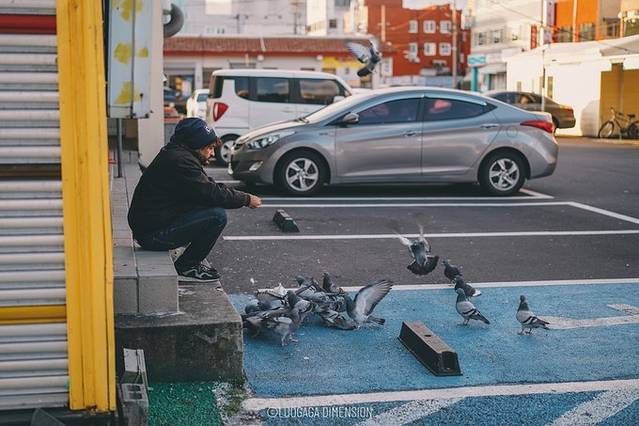 济州岛旅行遇到下雨,日记三年级海边游玩