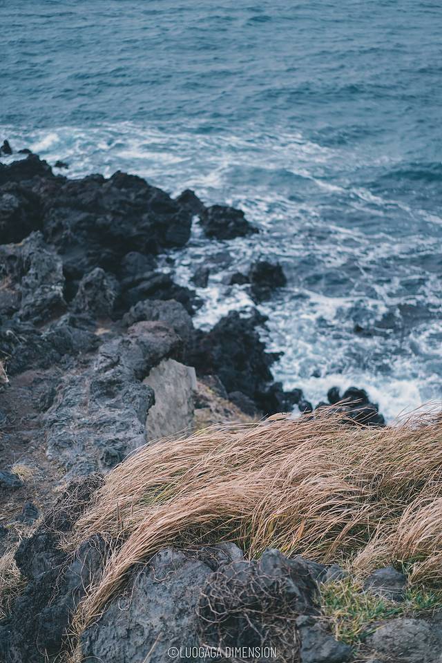 济州岛旅行遇到下雨,日记三年级海边游玩