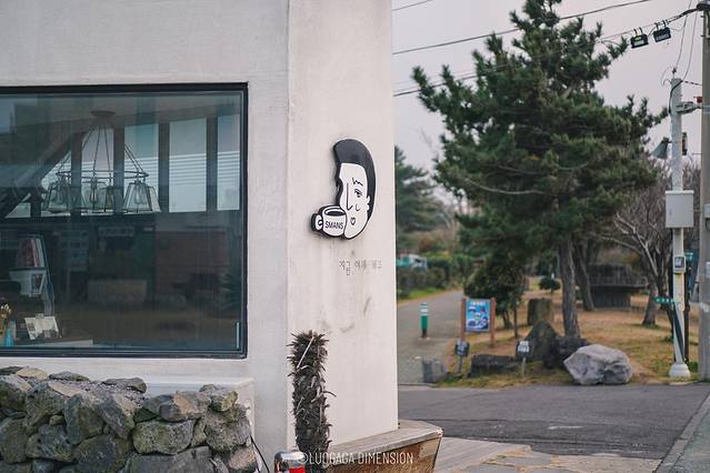 济州岛旅行遇到下雨,日记三年级海边游玩