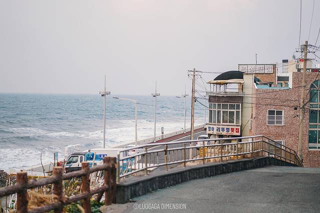 济州岛旅行遇到下雨,日记三年级海边游玩
