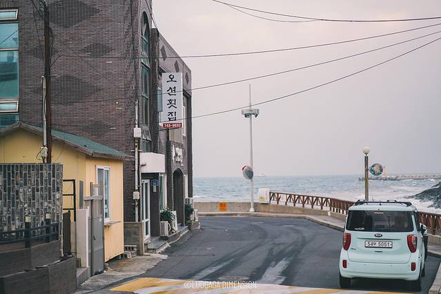 济州岛旅行遇到下雨,日记三年级海边游玩