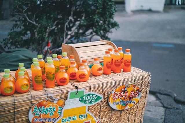 济州岛旅行遇到下雨,日记三年级海边游玩