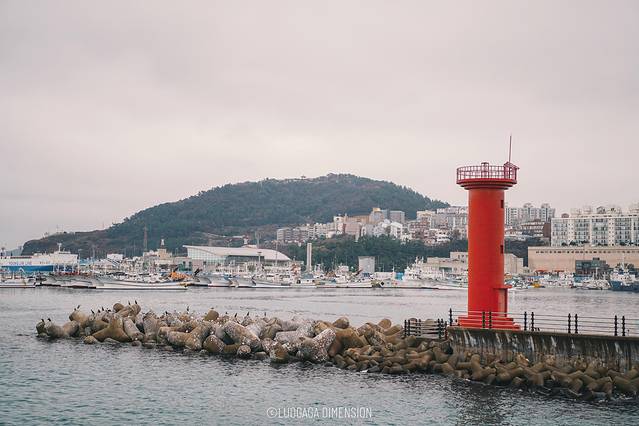 济州岛旅行遇到下雨,日记三年级海边游玩