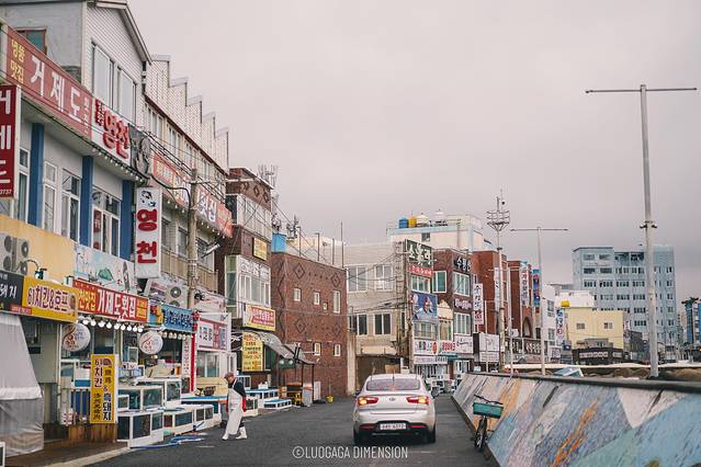 济州岛旅行遇到下雨,日记三年级海边游玩