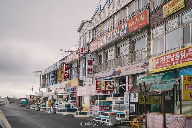 济州岛旅行遇到下雨,日记三年级海边游玩