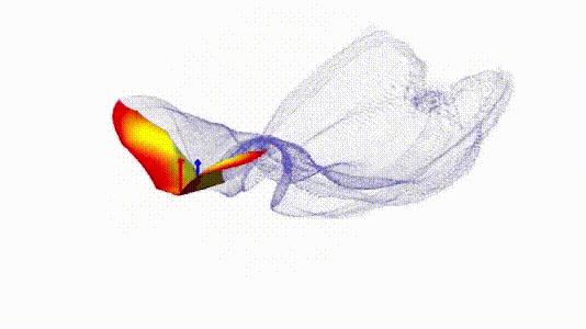 介绍第一视角蝙蝠,认识蝙蝠
