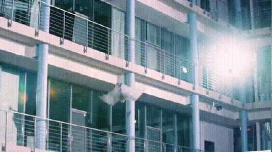 介绍第一视角蝙蝠,认识蝙蝠