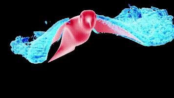 介绍第一视角蝙蝠,认识蝙蝠