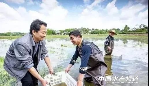 2022年以后养小龙虾还赚得到钱吗,如何养小龙虾一年能赚多少钱