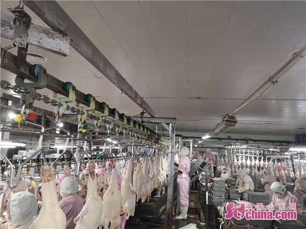 菏泽顶呱呱,顶呱呱企业