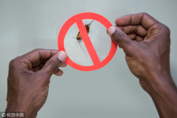 最有效灭蟑神器,史上最高能灭蟑大法评测