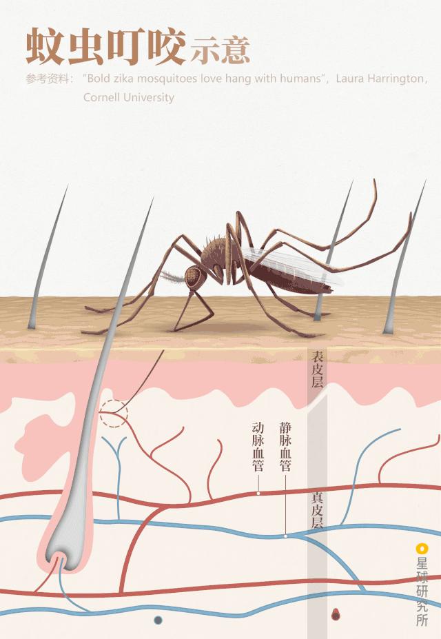 鍋囧鐥呮瘨鎰熸煋浜嗘垜,鍋囧鐥呮瘨鎰熸煋浜嗕綘