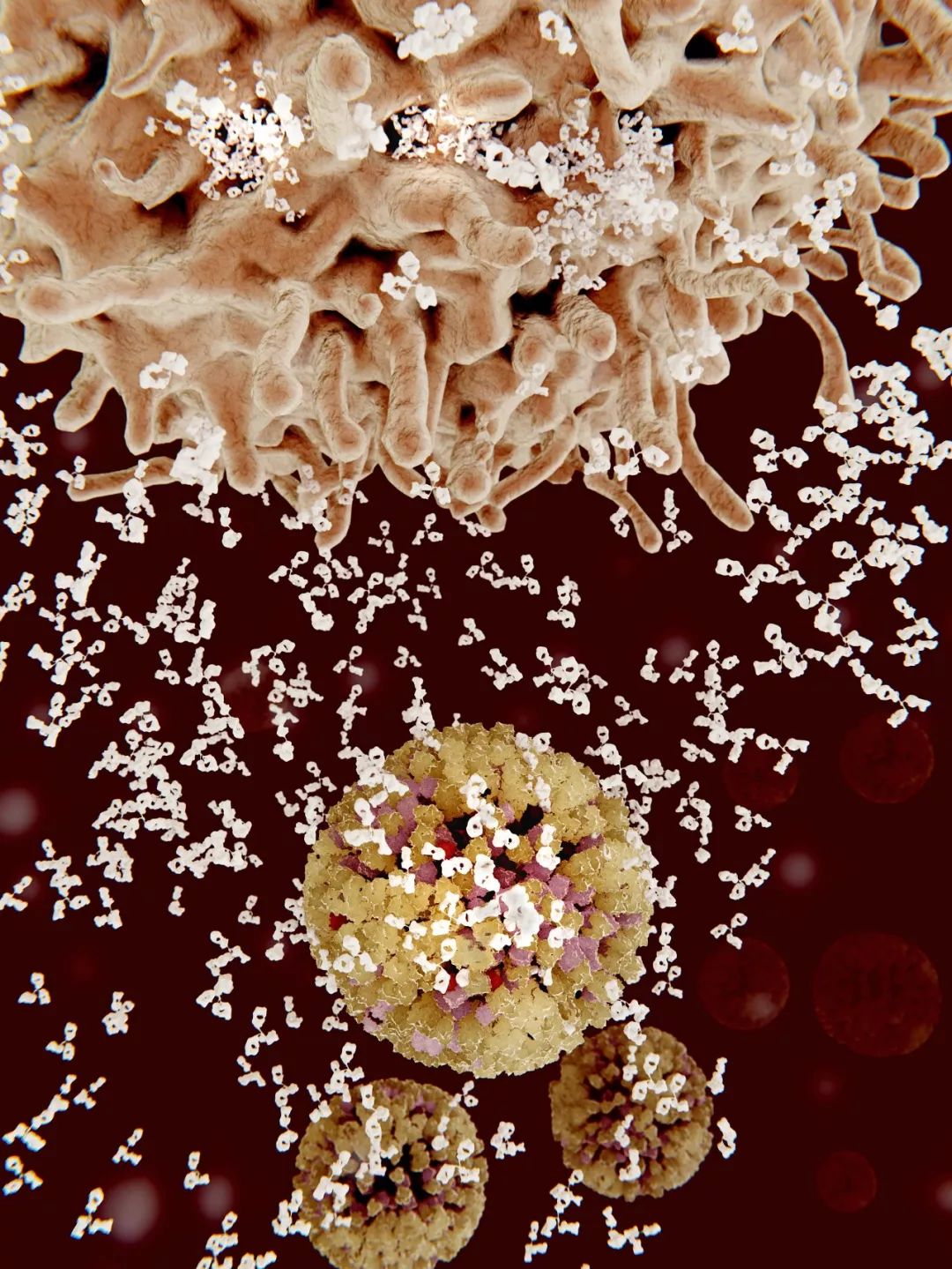 鍋囧鐥呮瘨鎰熸煋浜嗘垜,鍋囧鐥呮瘨鎰熸煋浜嗕綘